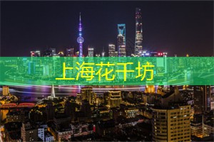 上海后花园变身露天音乐会场，让你置身于动感音乐的狂欢！