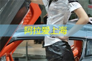揭秘上海后花园：你从未见过的绿色天堂！