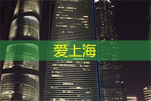 玩转花海！上海后花园让你尽情畅游！