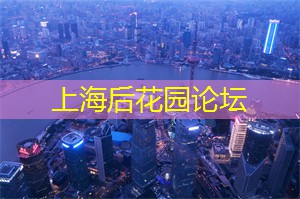 雨中求生
